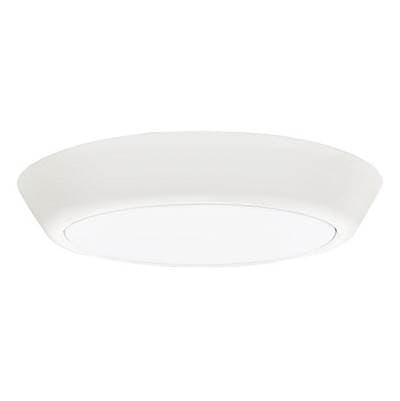 LED Disk Lights